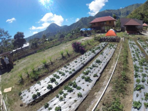 Bale Sembahulun Cottages & Tend